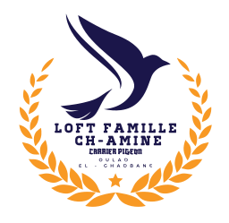 loft famille ch amine on vector.ma