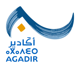 VILLE AGADIR - مدينة اكادير 