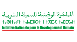 INDH Arab Francais Tamazight on vector.ma