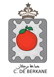 C. De Berkane جماعة بركان  on vector.ma