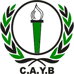 CAYB  on vector.ma