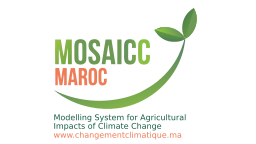 MOSAICC MAROC logo on vector.ma