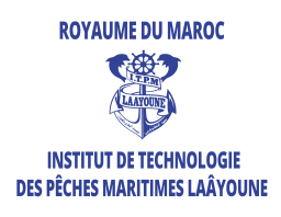 INSTITUT DE TECHNOLOGIE DES PÊCHES MARITIMES LAÂYOUNE   ITPM on vector.ma