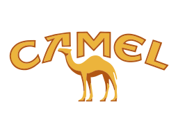 camel cigarettes morocco on vector.ma
