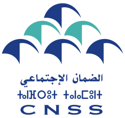 Conseil National des Droits de l'Homme