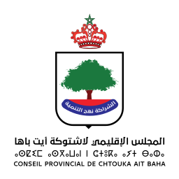 Logo Chtouka Ait Baha Conseil on vector.ma