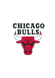 chicago bulls on vector.ma