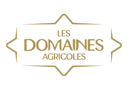 Les Domaines Agricoles on vector.ma