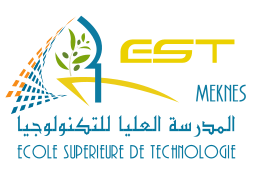المدرسة العليا لتكنلوجيا مكناس on vector.ma