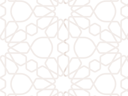 Zellij pattern on vector.ma