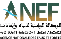AGENCE NATIONALE DES EAUX ET FORÊTS on vector.ma