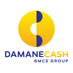 Logo - Daman Cash By BMCI on vector.ma