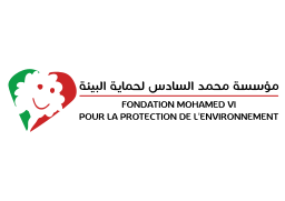 Fondation Mohammed VI Logo  on vector.ma