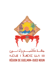 جهة كلميم واد نون