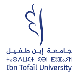 LOGO - IBN TOFAÏL UNIVERSITY on vector.ma