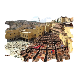 la medina de fès on vector.ma