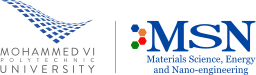 LOGO MSN@2x