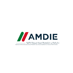 AMDIE on vector.ma