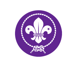 scouts international old logo 