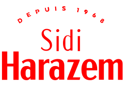 Sidi Harazem on vector.ma