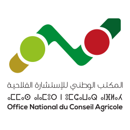 ONCA on vector.ma