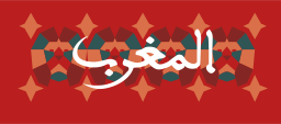 motif tenue maroc puma 2024 caf on vector.ma