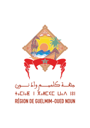 شعار جهة كلميم واد نون   on vector.ma